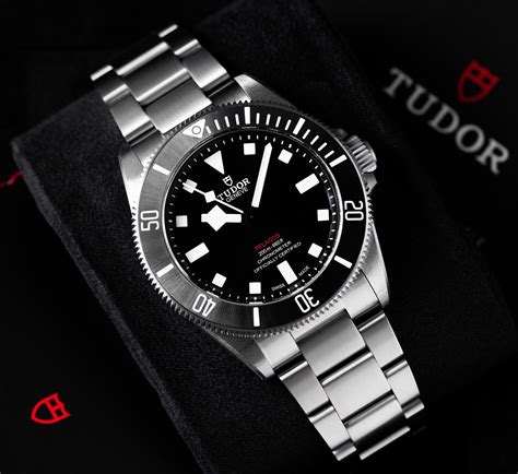 tudor pelagos 39 problems.